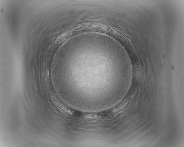 X0000060751489200511101102
