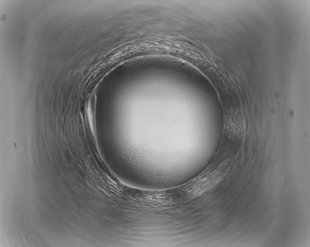 X0000060751490200511101102