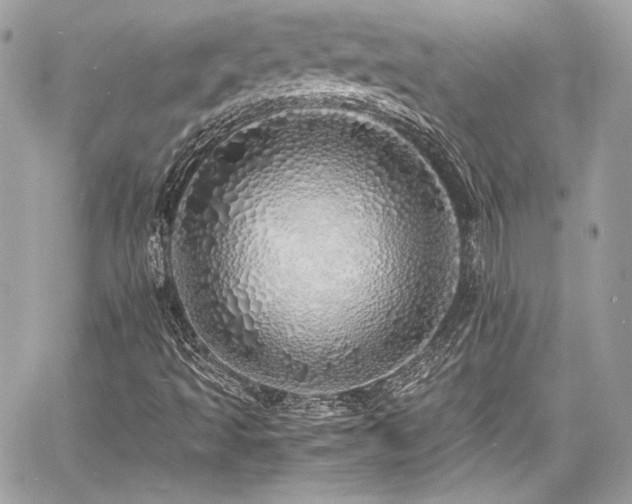 X0000060751493200511101102