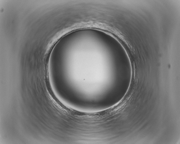X0000060751500200511101102