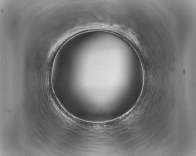 X0000060751504200511101102