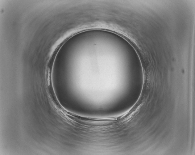 X0000060751510200511101102