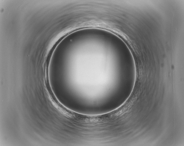 X0000060751515200511101102
