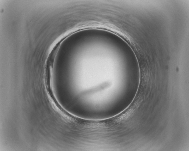 X0000060751518200511101102