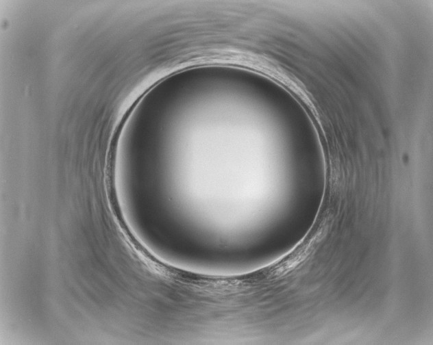 X0000060751533200511101102
