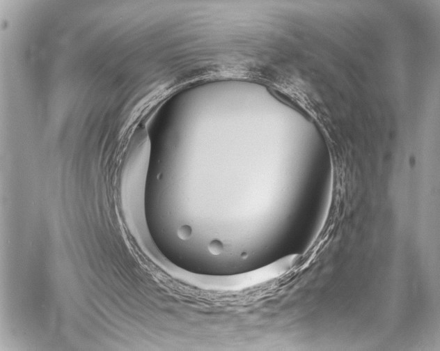 X0000060750001200511141211