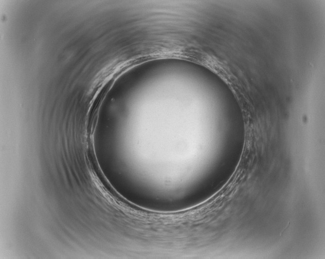 X0000060750002200511141211