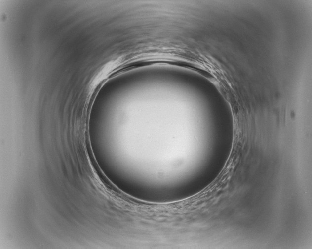 X0000060750003200511141211