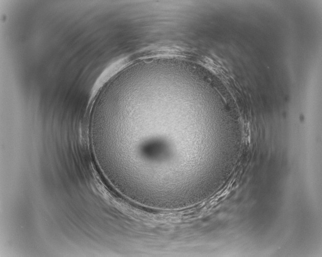 X0000060750004200511141211