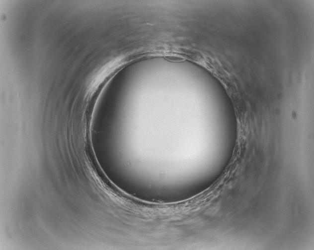 X0000060750005200511141211