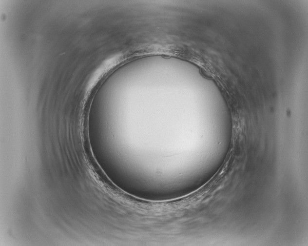 X0000060750006200511141211