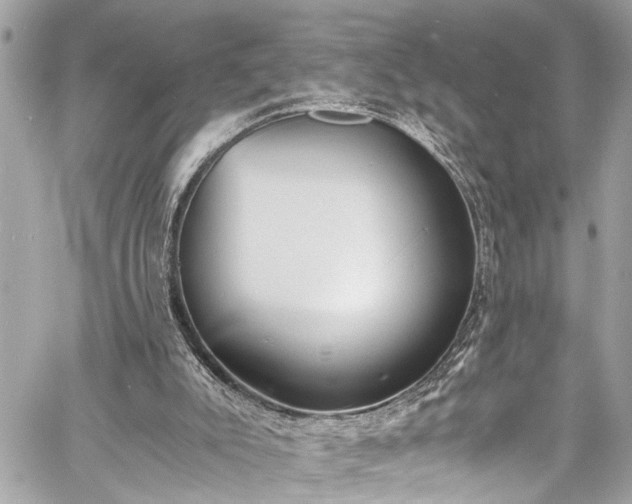 X0000060750007200511141211