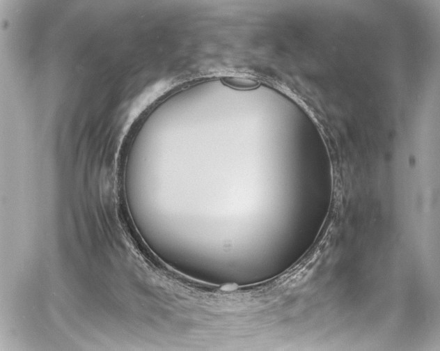 X0000060750008200511141211