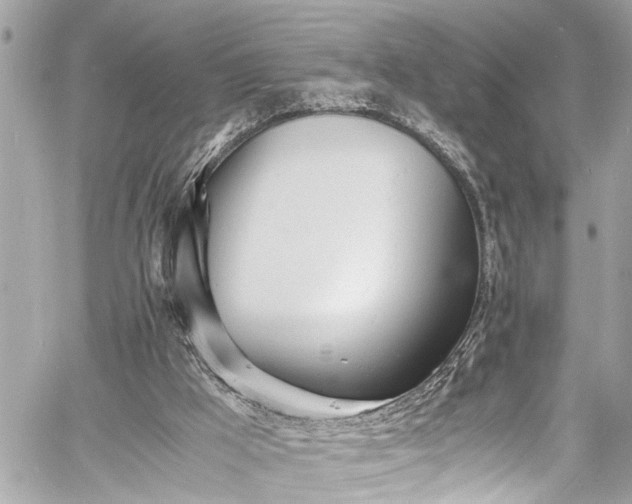 X0000060750009200511141211