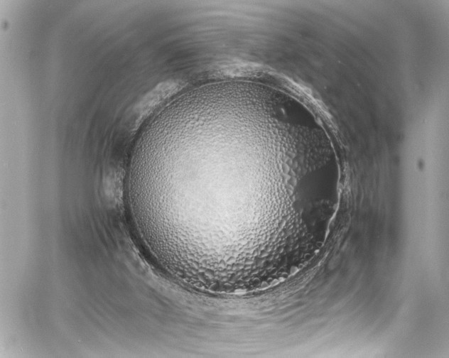 X0000060750010200511141211