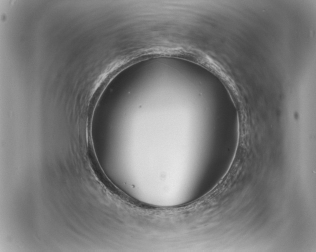 X0000060750011200511141211