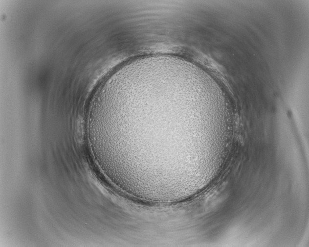 X0000060750012200511141211