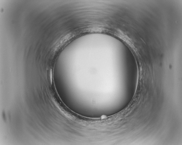 X0000060750013200511141211