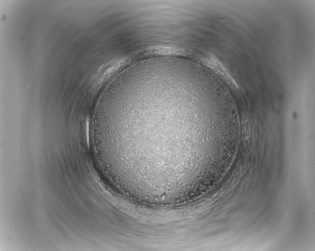 X0000060750014200511141211