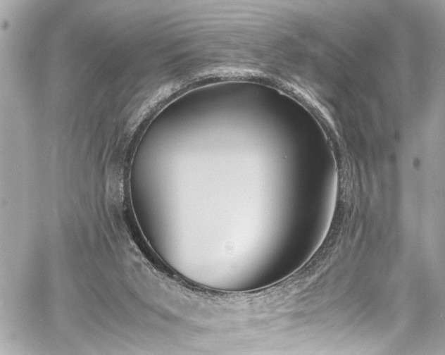 X0000060750015200511141211