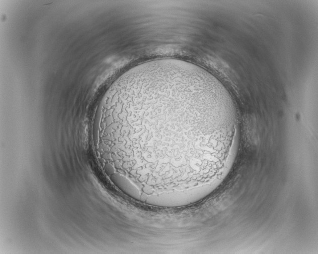 X0000060750016200511141211