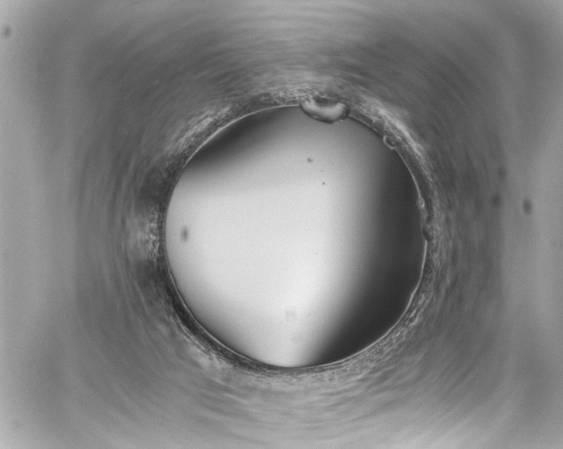 X0000060750017200511141211