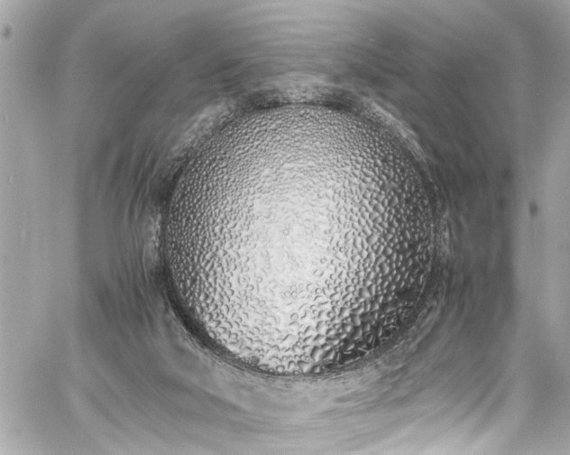 X0000060750018200511141211