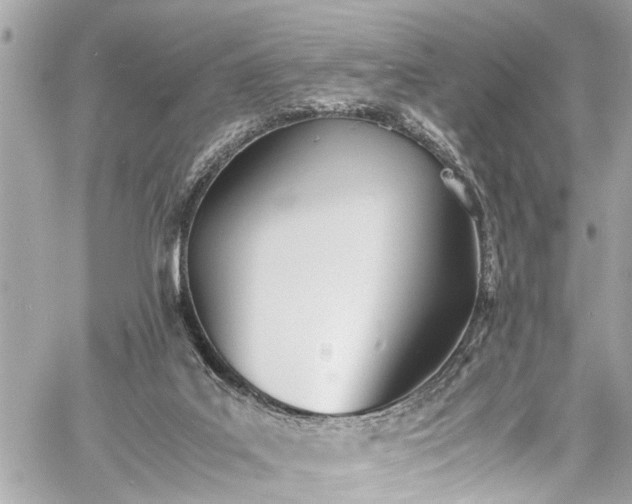 X0000060750019200511141211