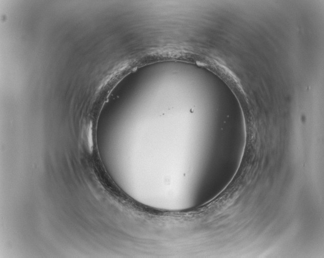 X0000060750020200511141211