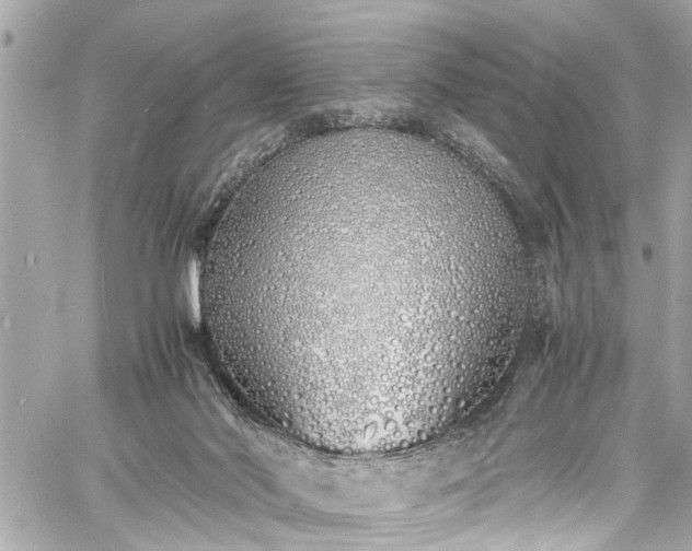 X0000060750022200511141211