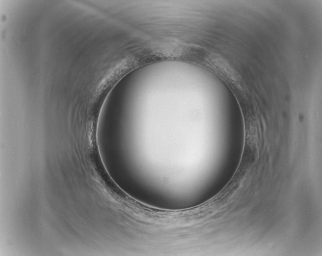 X0000060750023200511141210