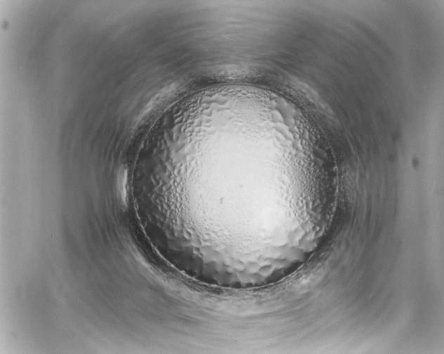 X0000060750024200511141210