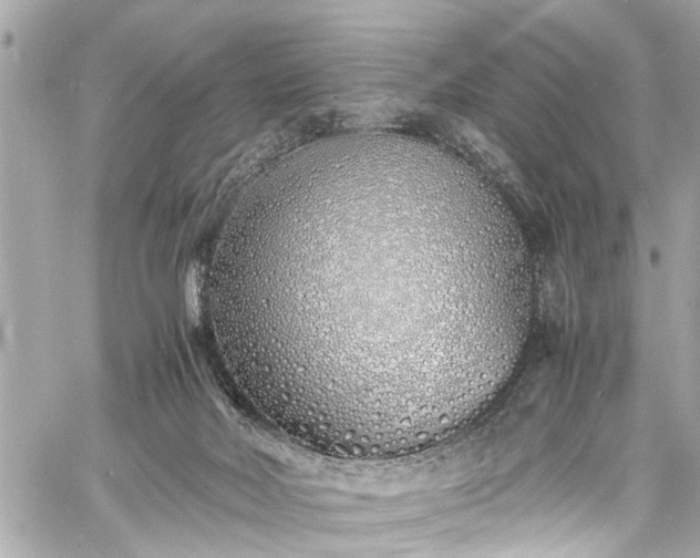 X0000060750026200511141210