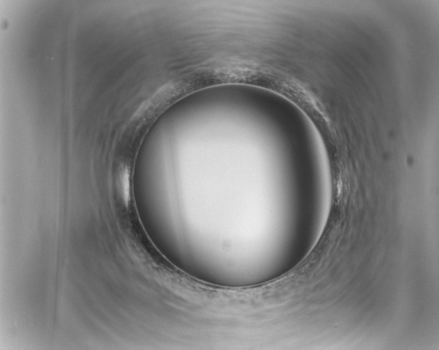 X0000060750027200511141210