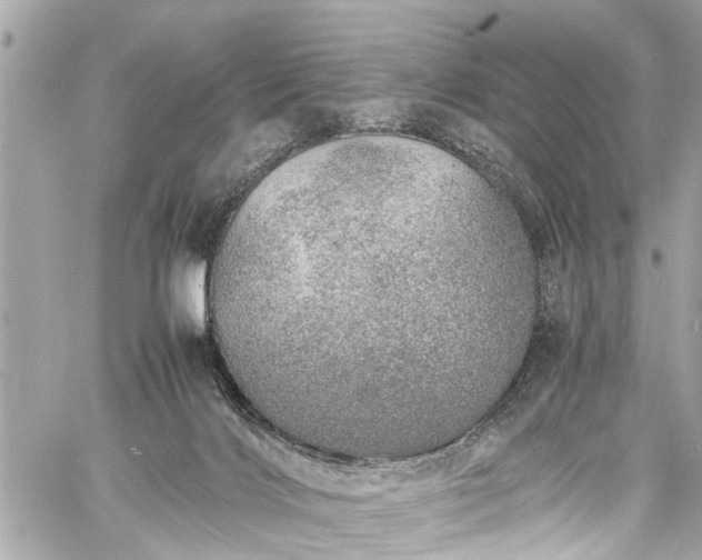 X0000060750028200511141210