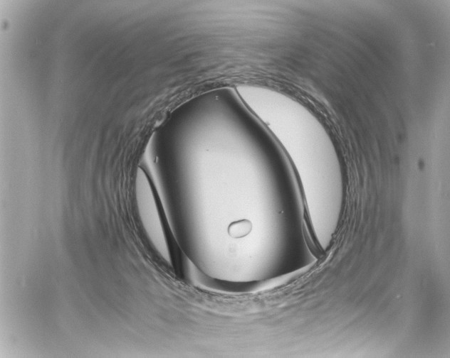 X0000060750029200511141210