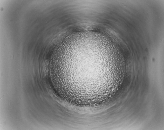 X0000060750030200511141210