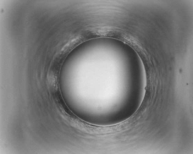 X0000060750031200511141210