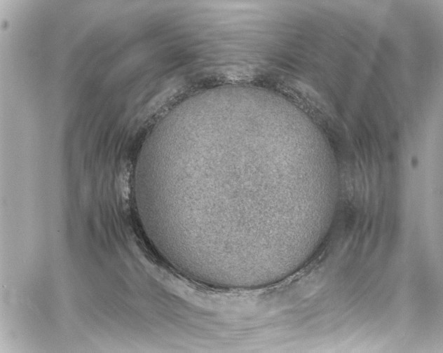 X0000060750032200511141210