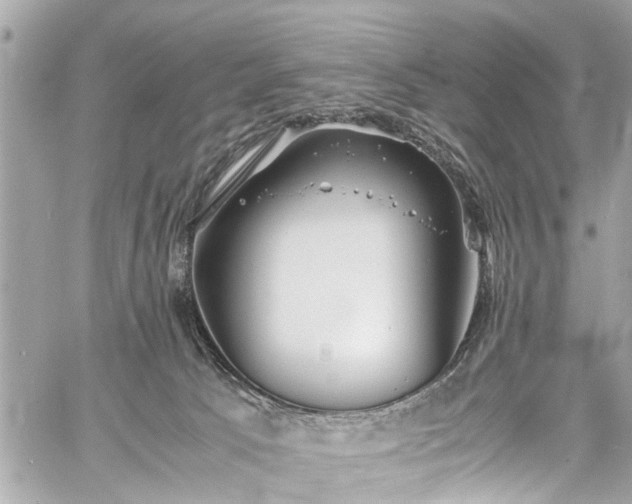 X0000060750033200511141210