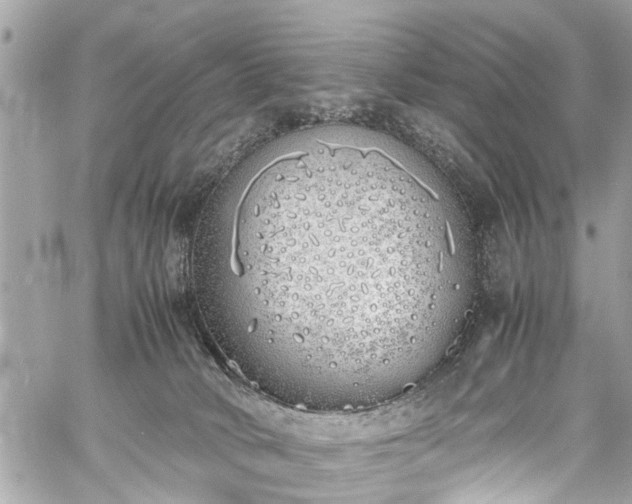 X0000060750034200511141210