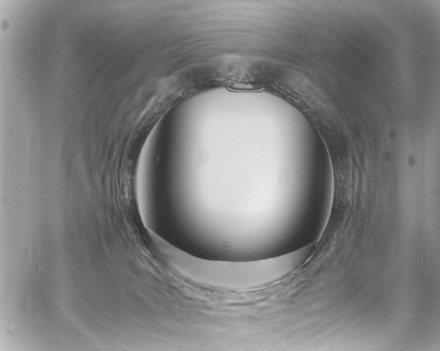 X0000060750035200511141210