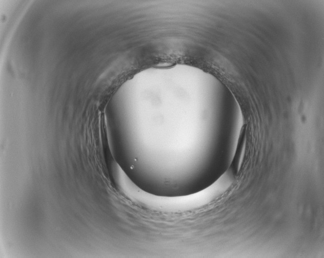 X0000060750037200511141210