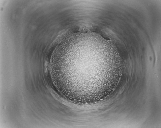 X0000060750038200511141210