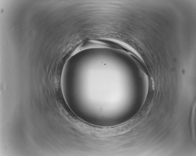 X0000060750039200511141210