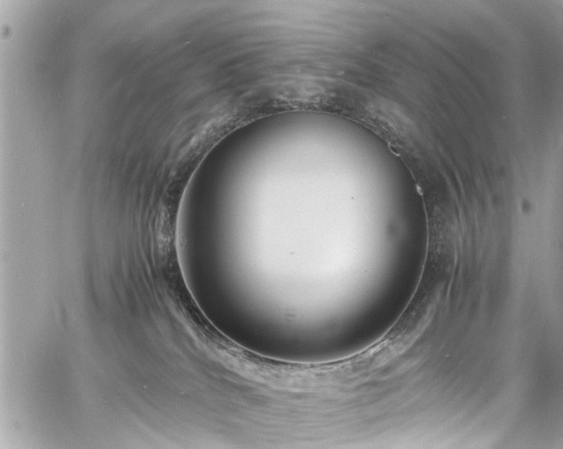 X0000060750040200511141210