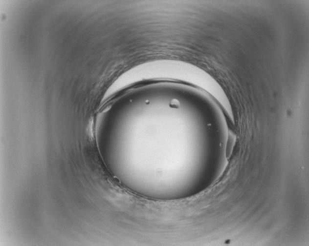 X0000060750041200511141210