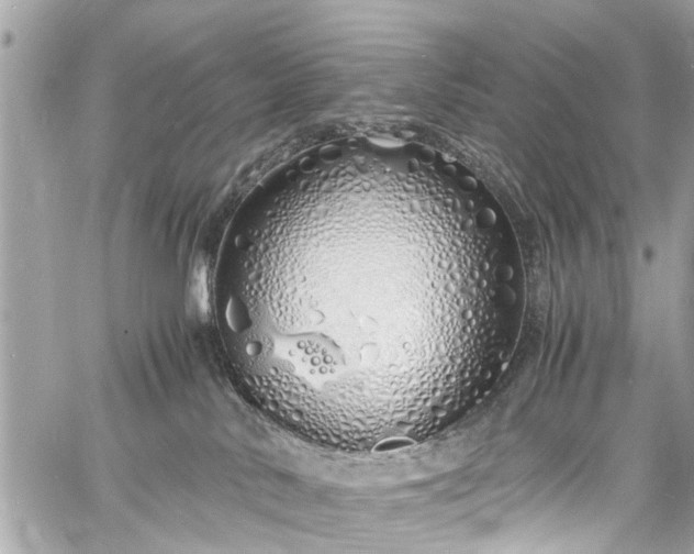 X0000060750042200511141210