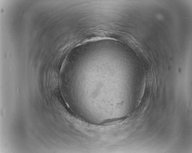 X0000060750043200511141210