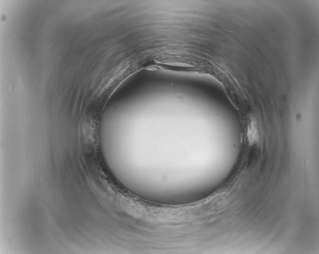 X0000060750044200511141210